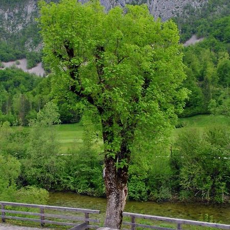 Riverside Village Apartment Bohinj Buitenkant foto